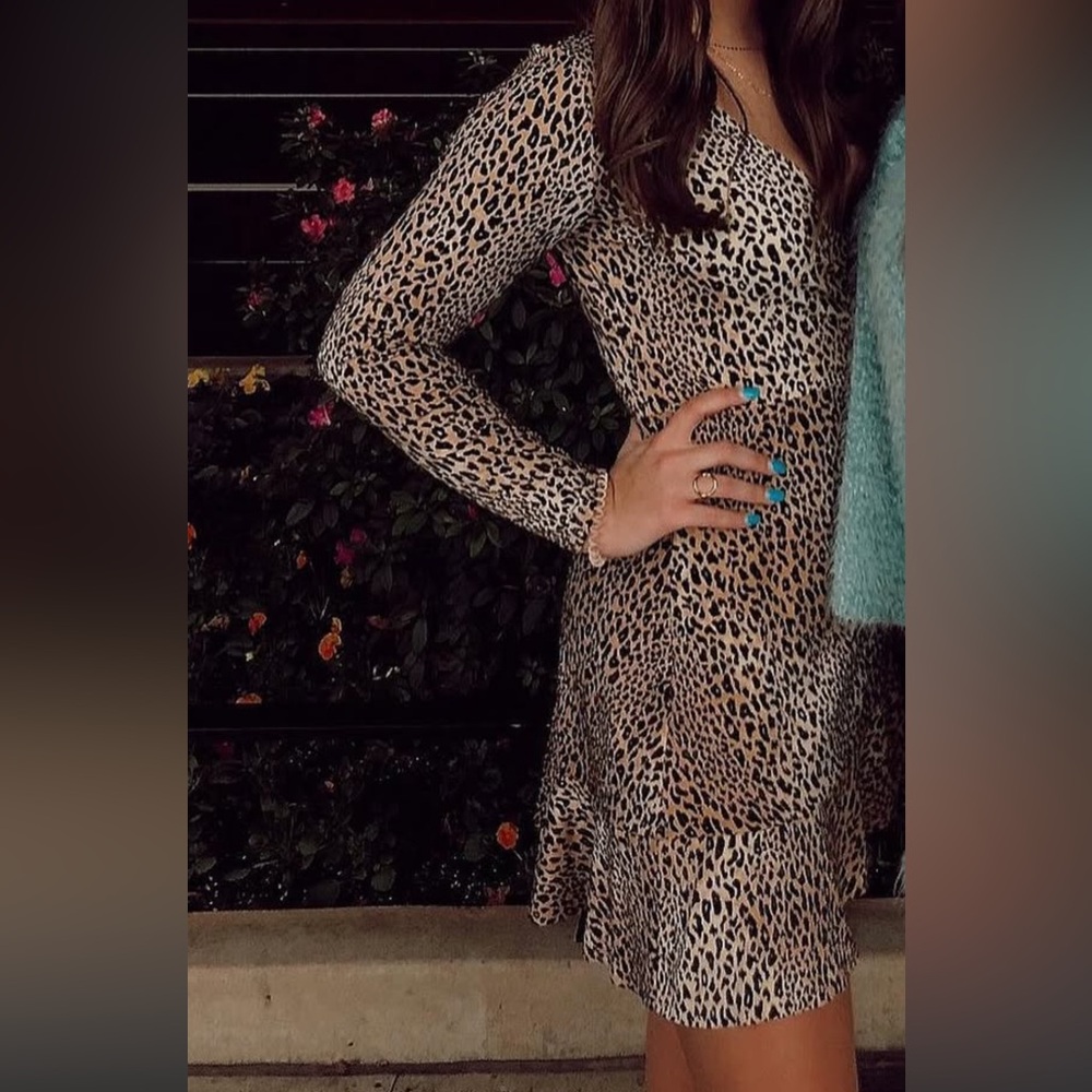 Leopard Print Long Sleeve Tie Dress